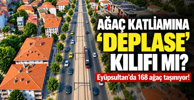 Ağaç katliamına “deplase” kılıfı mı? 168 ağaç taşınıyor!