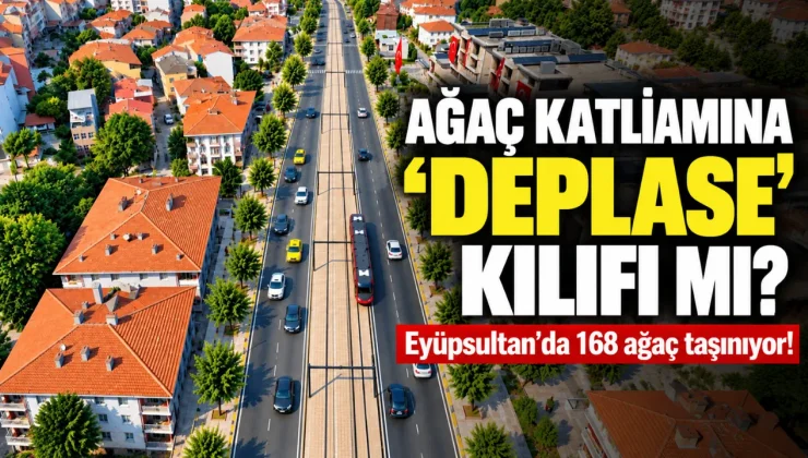 Ağaç katliamına “deplase” kılıfı mı? 168 ağaç taşınıyor!