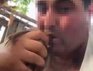 Alanya’da Kuşlara İşkence Yapan Zanlı Tutuklandı