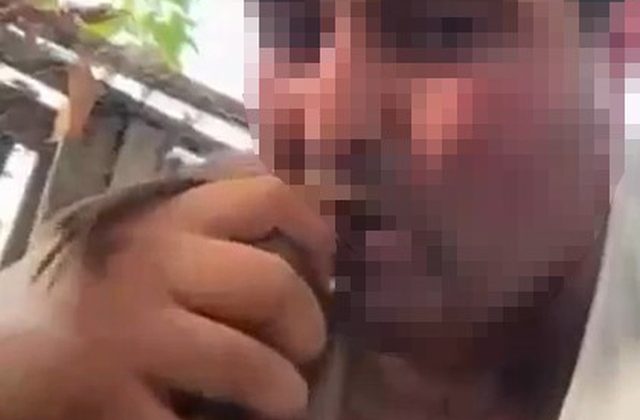 Alanya’da Kuşlara İşkence Yapan Zanlı Tutuklandı